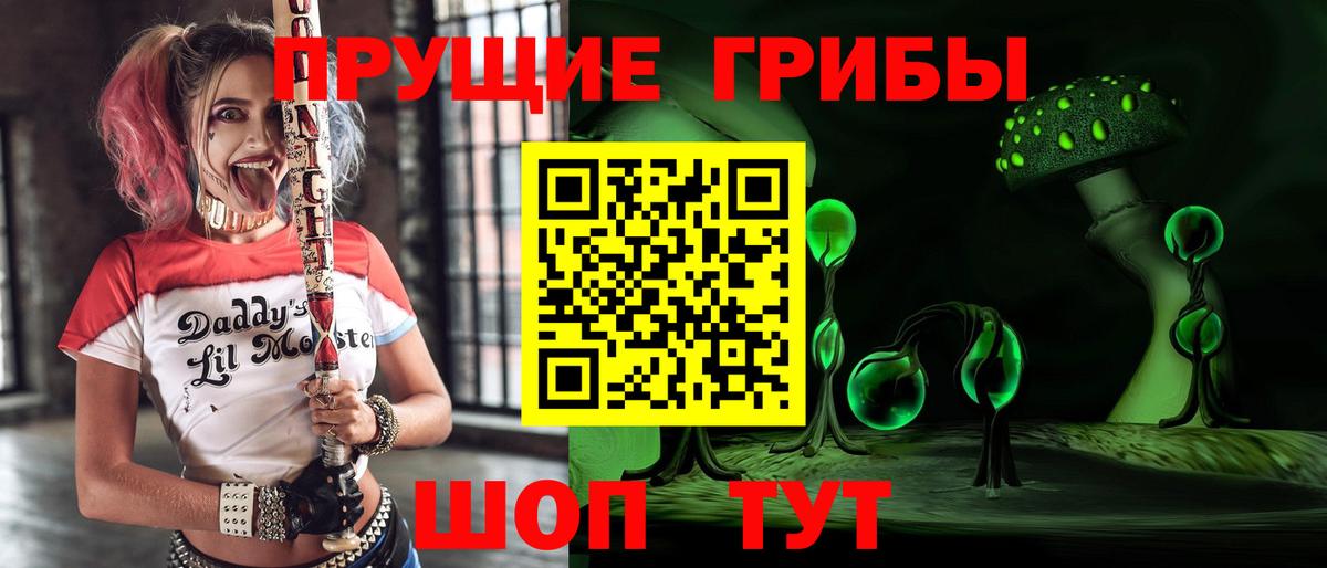 Галлюциногенные грибы Psilocybine cubensis  Вход с VPN  Великий Устюг 